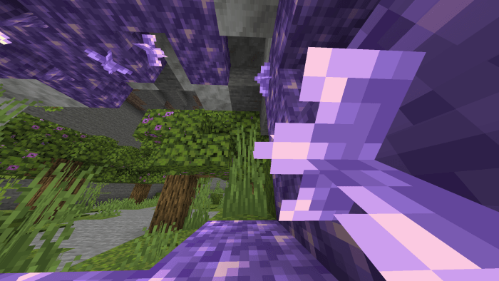 Biomes Find the Button: Screenshot 2