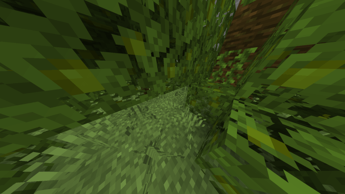 Biomes Find the Button: Screenshot 3