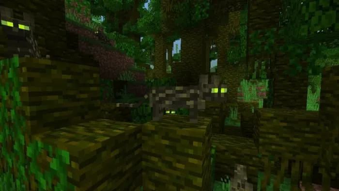 Deopard: Screenshot 1