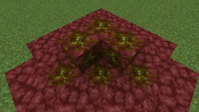 Netherrack Olivine Ore