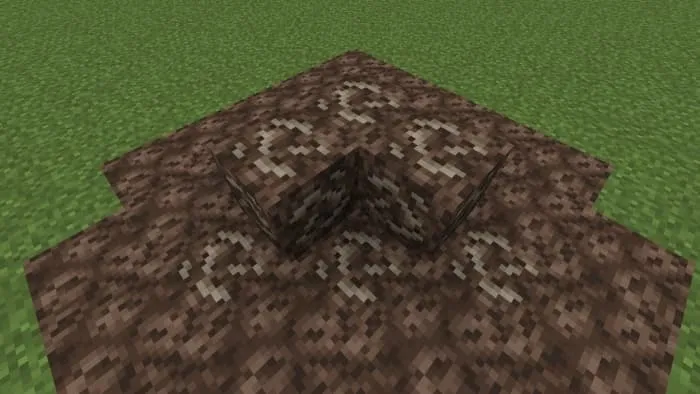 Soul Sand Fossil
