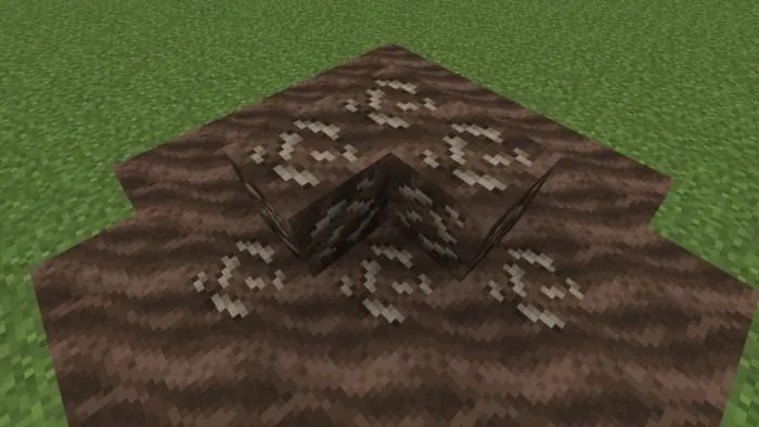 Soul Soil Fossil