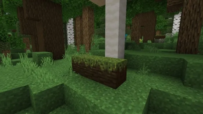 Fallen Grassed & Mossed Dark Oak Log