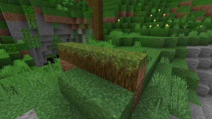 Fallen Grassed & Mossed Jungle Log