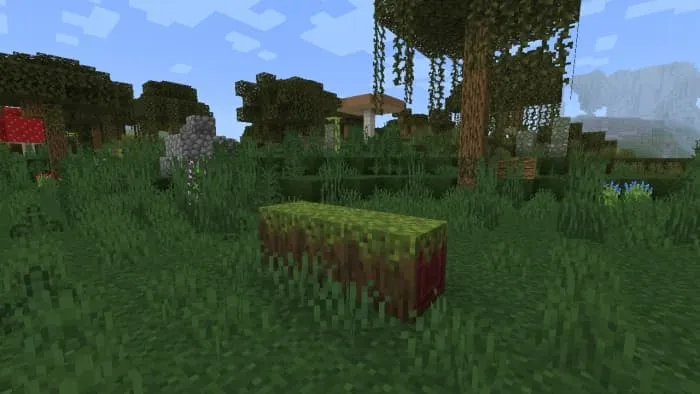 Fallen Grassed & Mossed Mangrove Log