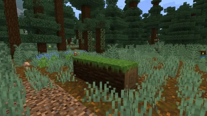 Fallen Grassed & Mossed Spruce Log