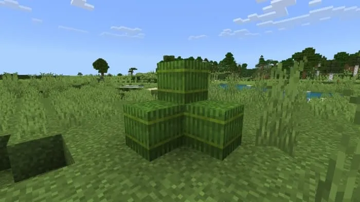 Grass Bale Pile