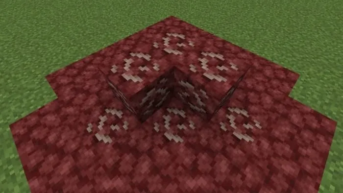 Netherrack Fossil