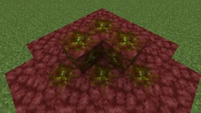 Netherrack Olivine Ore