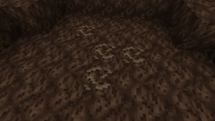 Soul Sand Fossil Patch