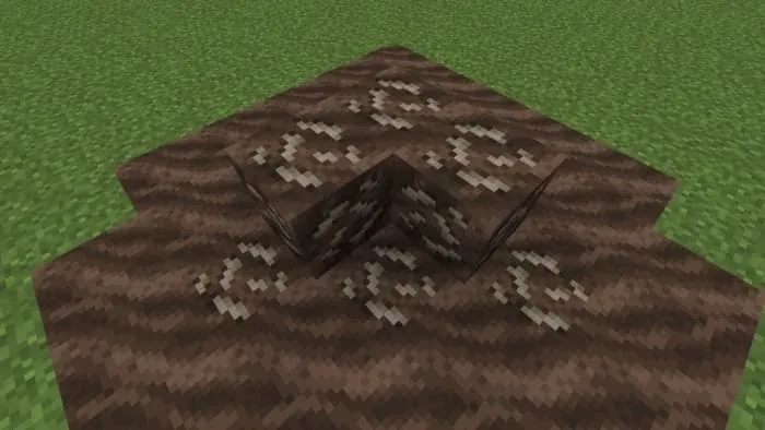 Soul Soil Fossil