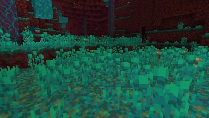 Warped Roots Vegetation