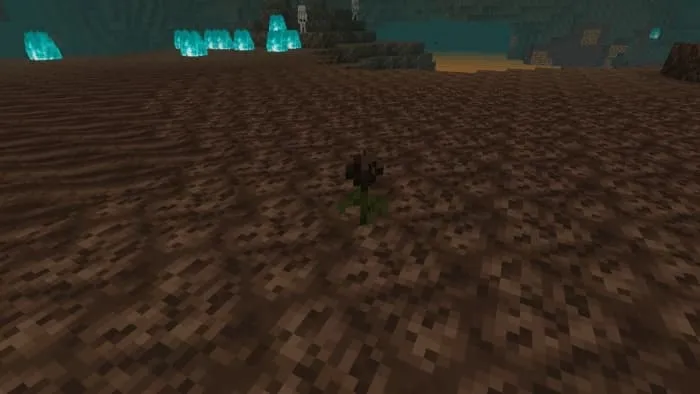Wither Rose Vegetation