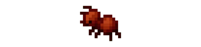 Ant