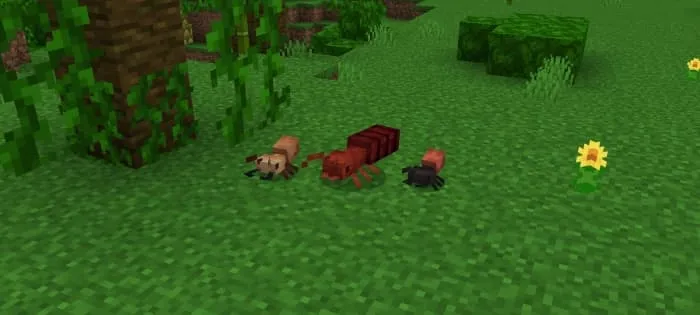 Army Ant