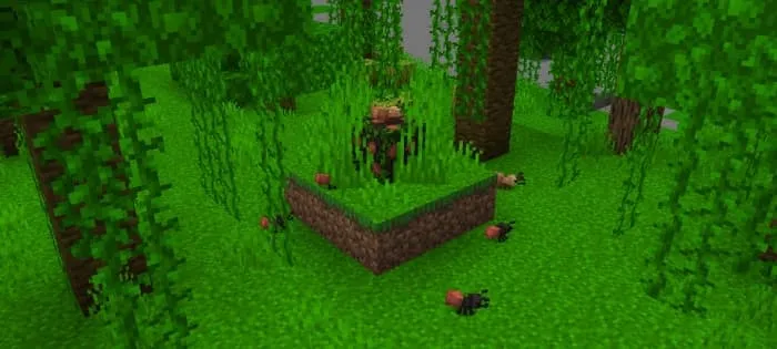 Army Ants Bivouac