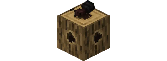 Carperter Ant Block
