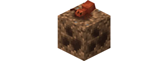 Leafcutter Ant Block
