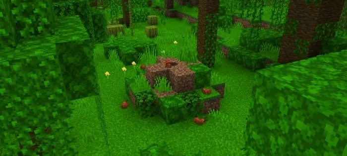 Leafcutter Ants Hill