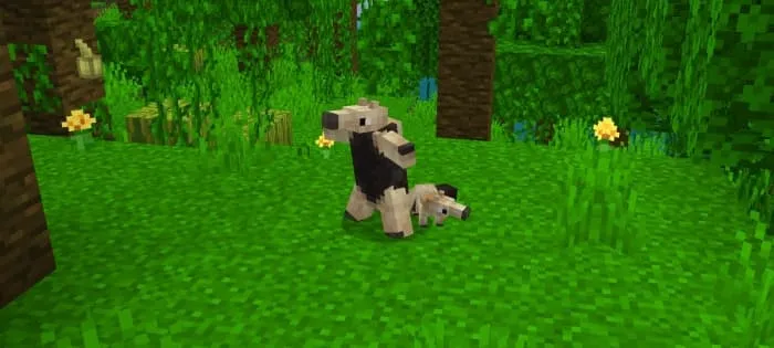 Tamandua