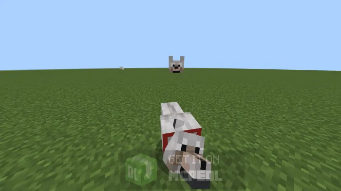 Wolf Switched to Peaceful Mode