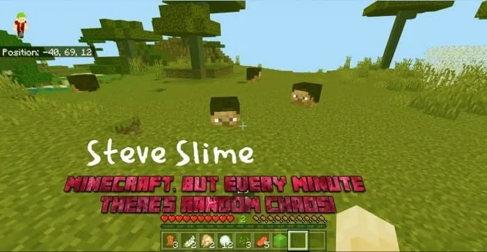 Steve Slimes