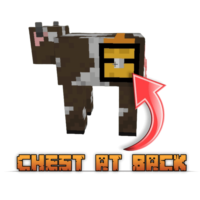 Cow with Chest