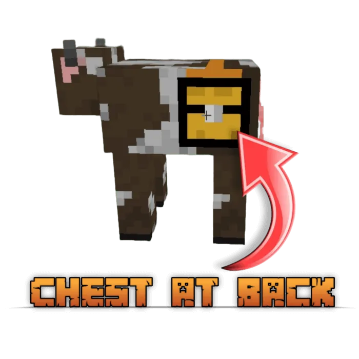 Cow with Chest