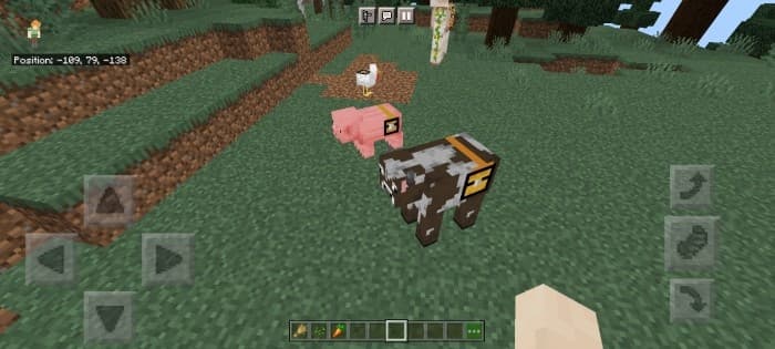 Mobs with Attached Chests