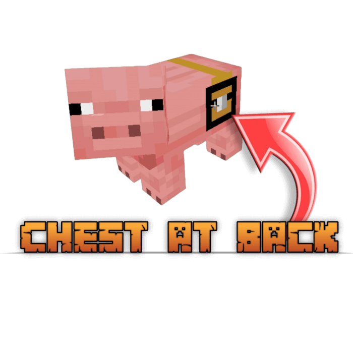 Pig with Chest
