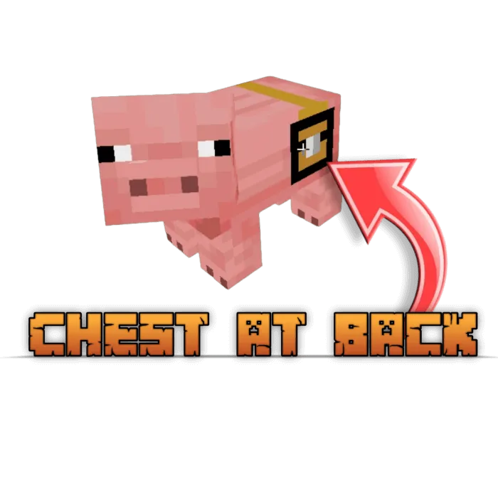 Pig with Chest