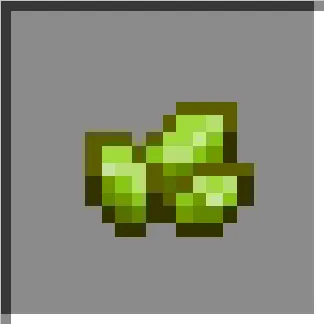 Olivine Fragment