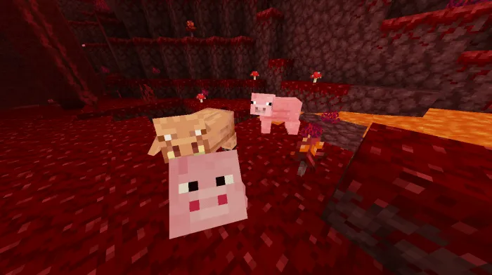 Piglet