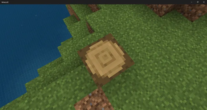 Explorer Texture Pack: Screenshot 3