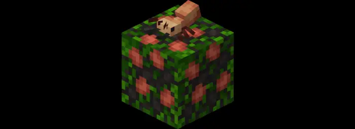 Army Ant Block