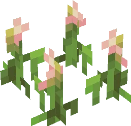 Cultural Clover Plant 2
