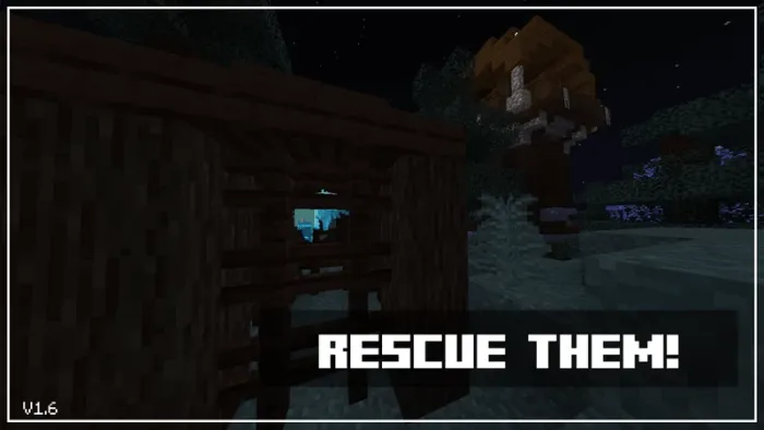 Allay Girls: Rescue Them!