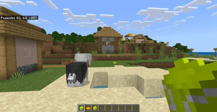 Dog and Ball: Screenshot 1