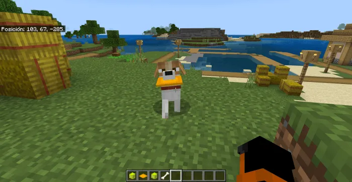 Dog and Frisbee: Screenshot