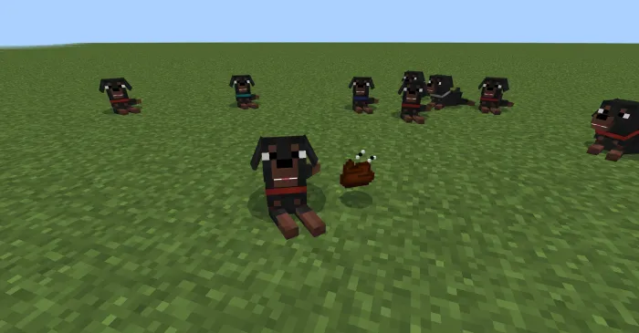 Dogs and Poop: Screenshot
