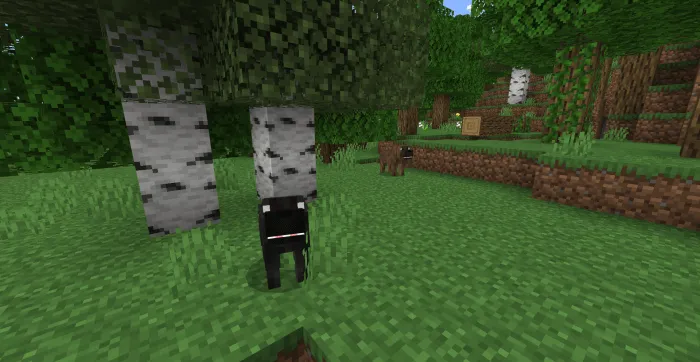 New Dog Breed: Screenshot