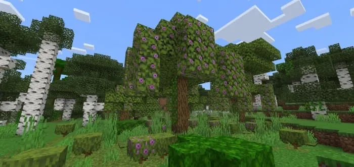 Azalea Tree Variants