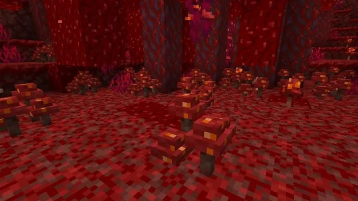 Clump of Crimson Fungus