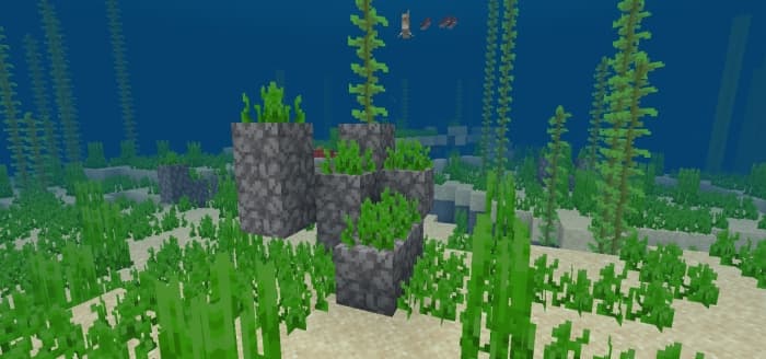 Dead Coral Block Mound