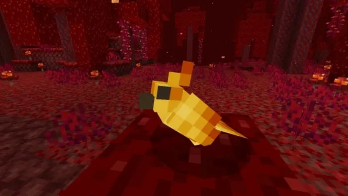 Fire Bird