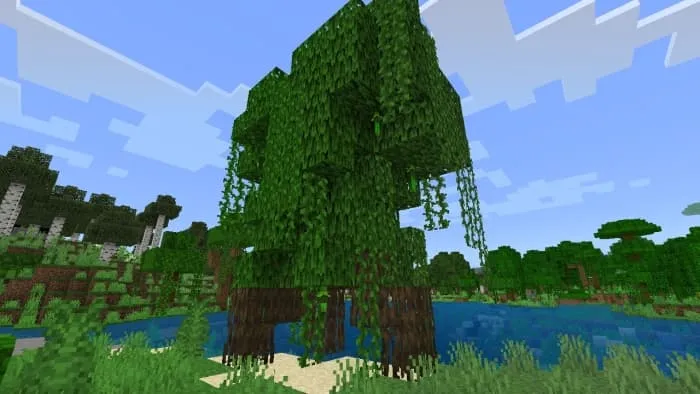 Wild Mangrove Tree