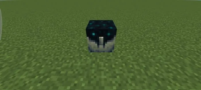 Sculk Chest: Screenshot