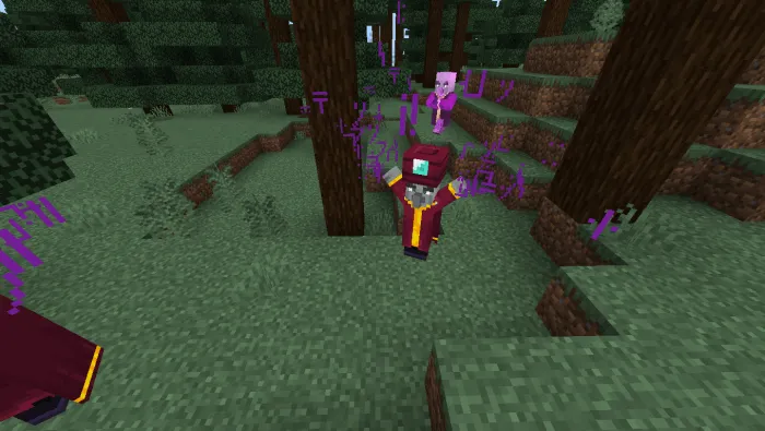 Enchanter Mob