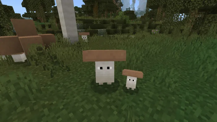 Brown Shroom