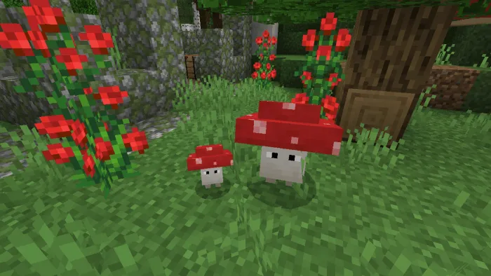 Red Shroom